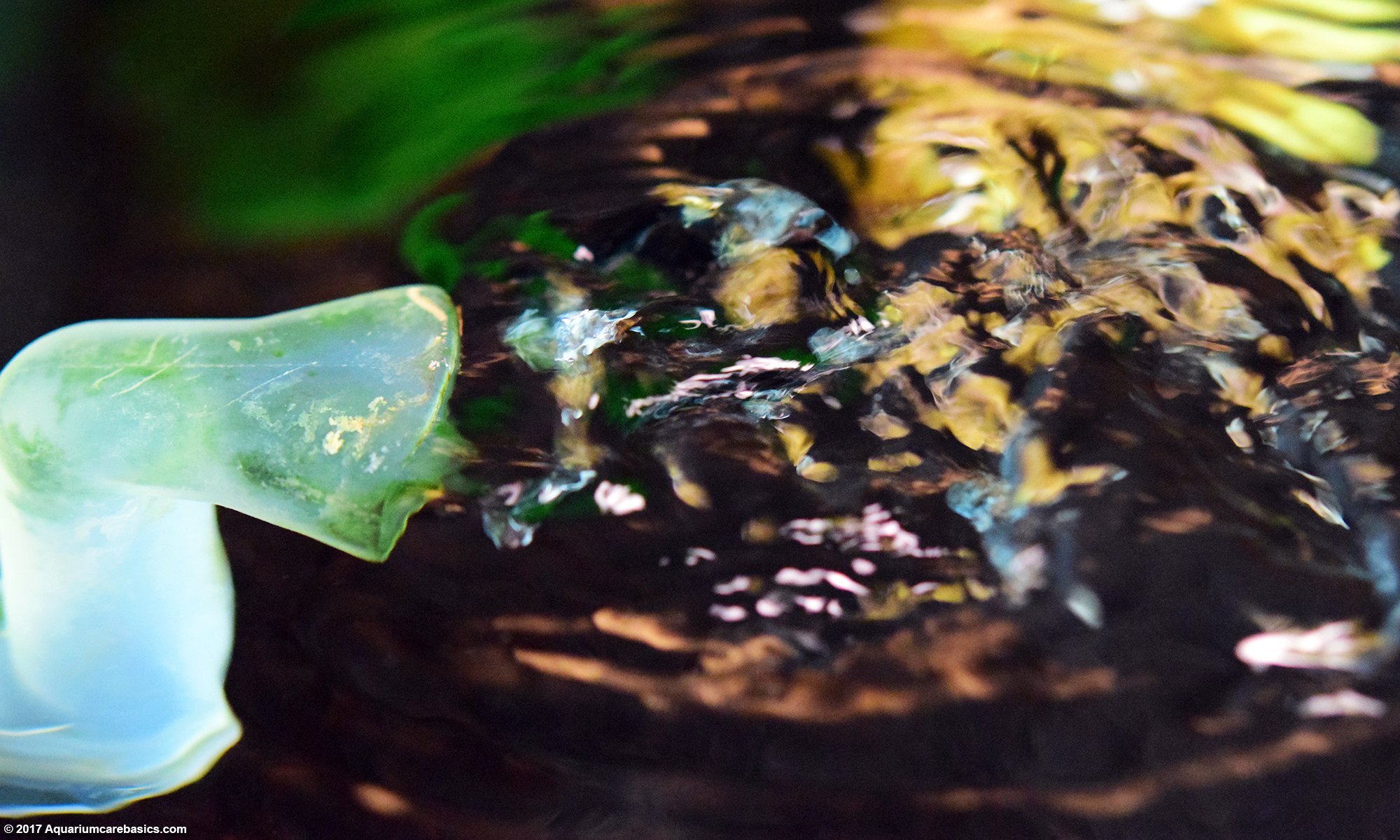 Aquarium Water Showing Surface Agitation